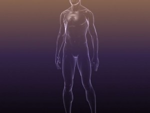 human body  silhouette of a male 3D Model