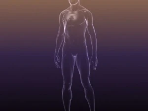 human body  silhouette of a male 3D Model