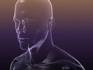 human body  silhouette of a male 3D Model