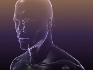 human body  silhouette of a male 3D Model