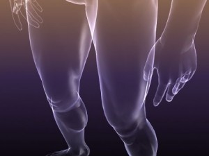 human body  silhouette of a male 3D Model