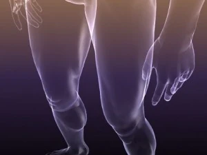 human body  silhouette of a male 3D Model