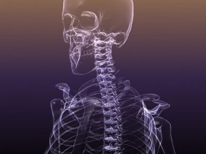 skeleton of a human xray scan renderready 3D Model