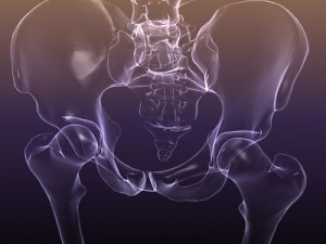 skeleton of a human xray scan renderready 3D Model