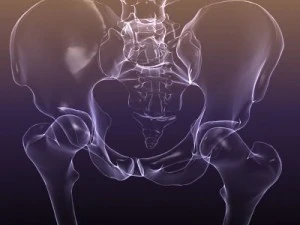 skeleton of a human xray scan renderready 3D Model