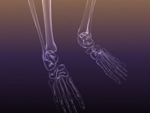 skeleton of a human xray scan renderready 3D Model