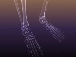 skeleton of a human xray scan renderready 3D Model