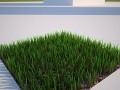 3d grass textured for lawn turf yard backyard Modèle 3D