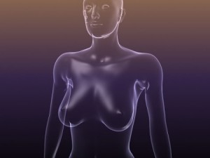 female body transparent 3D Model