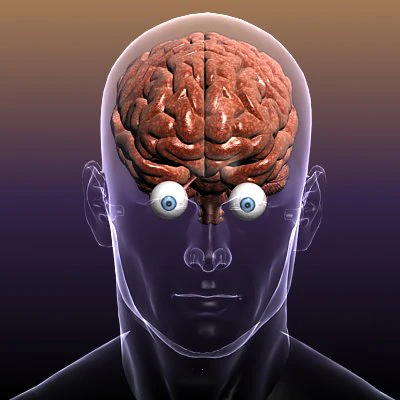 brain with eyes in a human head 3D Model .c4d .max .obj .3ds .fbx .stl .blend 