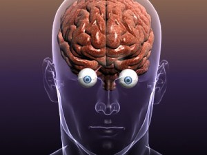 brain with eyes in a human head 3D Model