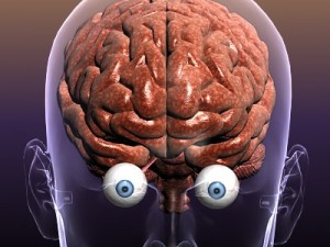 brain with eyes in a human head 3D 모델