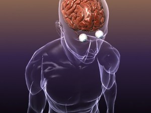 brain with eyes in a human head 3D 모델