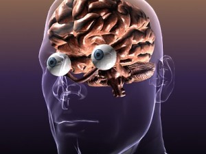 brain with eyes in a human head 3D 모델