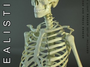 hd human skeleton 3D Model