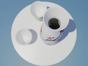 sake set 3D Model