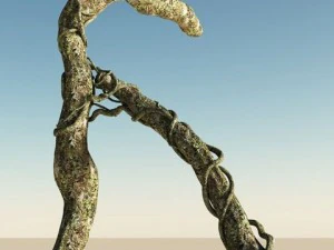 il paradiso delle liana Modello 3D