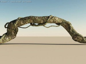 liana heaven Modello 3D