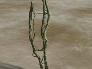 liana heaven 3D Model