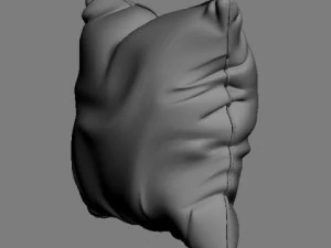 satin throw pillow 2 3D Model