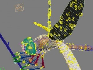 dragonfly rigged 3D Model