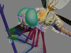 dragonfly rigged 3D Model