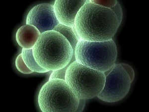 molecola di glucosio Modello 3D