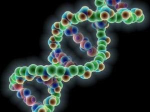 dna molecule 3D Model