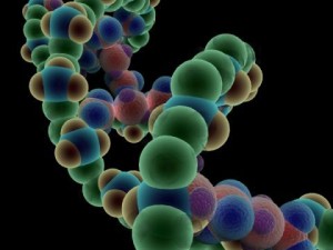 dna molecule 3D Модель