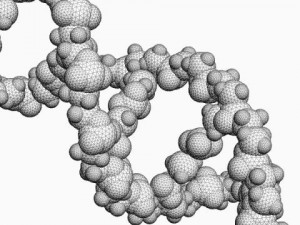 dna molecule 3D Модель