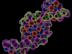 dna molecule 3D Model