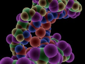 dna molecule 3D Model