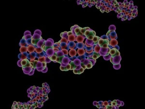 dna molecule 3D Model