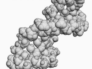 dna molecule 3Dモデル