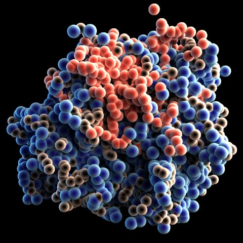 protein molecule 3D Model .c4d .max .obj .3ds .fbx .stl .blend 