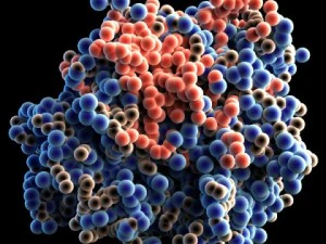 mol&eacute;cula de prote&iacute;na Modelo 3D