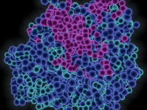 protein molecule 3D Model
