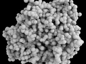 protein molecule 3D Model