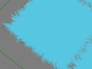 carpet 3D Model