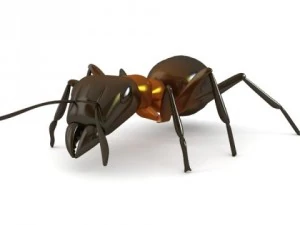 red ant 3D Model
