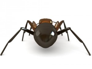 red ant Model 3D