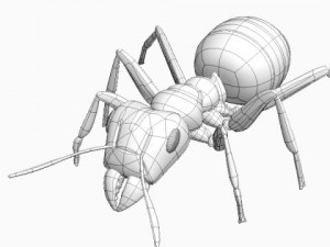 red ant Model 3D