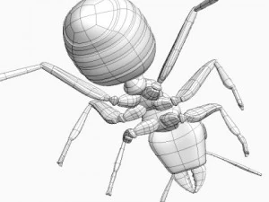 red ant 3D Model