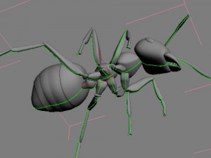 red ant Model 3D