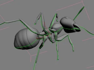 red ant 3D Model