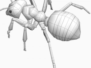red ant Model 3D