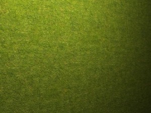 textures grass 001 Texturas CG