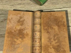 old books 3D Model