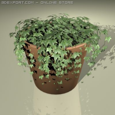 ivy plant 3D Model .c4d .max .obj .3ds .fbx .stl .blend 