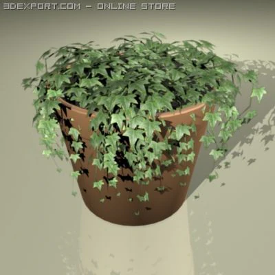 ivy plant 3D Model .c4d .max .obj .3ds .fbx .stl .blend 